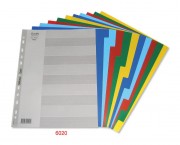 複製 BANTEX 6020 膠質顏色索引分類(10級) For Letter Size